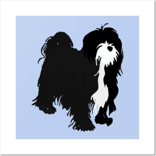 Tibetan terrier Posters and Art